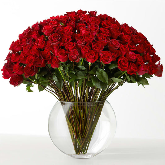The Idealist –  Jy Floristeria, Trenton NJ