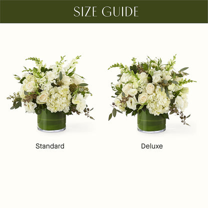 The Gallery –  Jy Floristeria, Trenton NJ