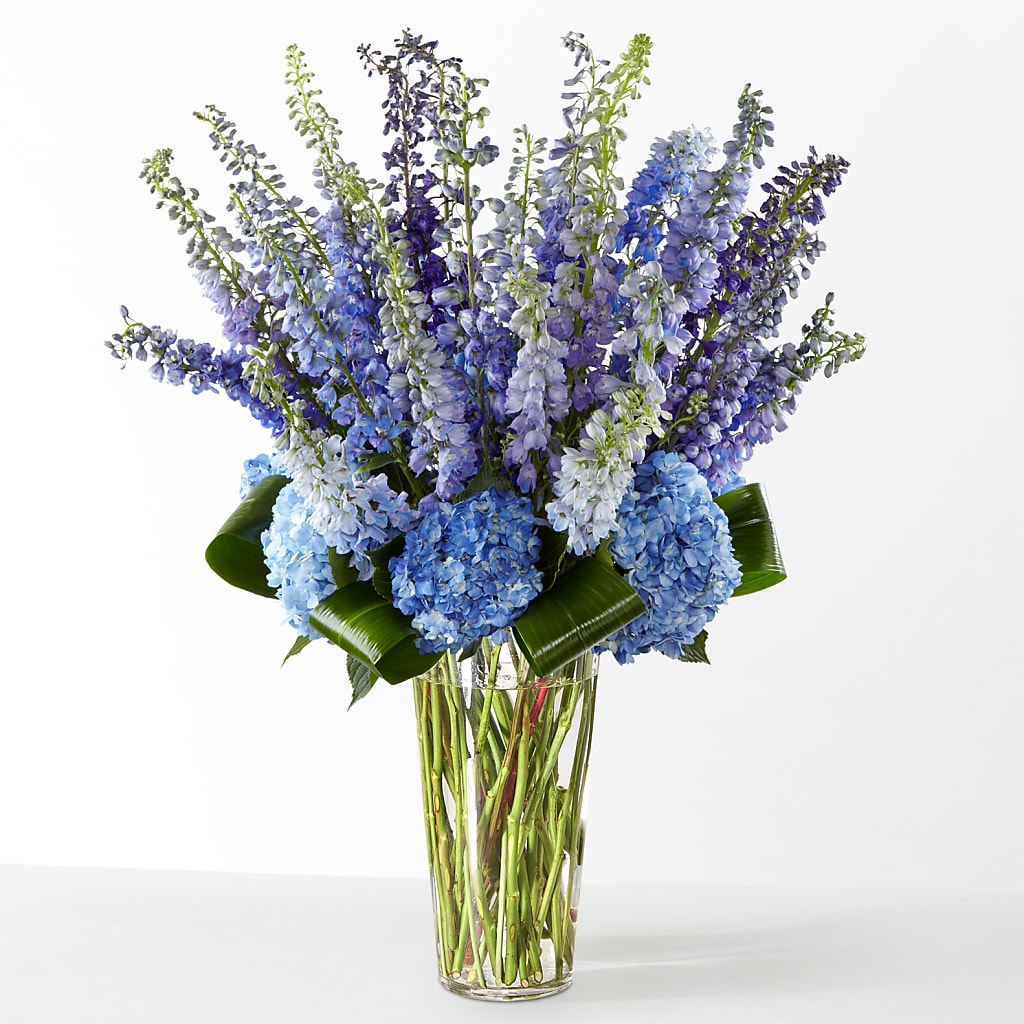 The Editorial –  Jy Floristeria, Trenton NJ