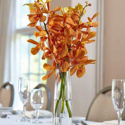 Orange Mokara Bud Vase –  Jy Floristeria, Trenton NJ