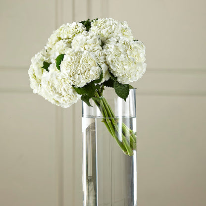 White Hydrangea Hand-Tied Bouquet –  Jy Floristeria, Trenton NJ