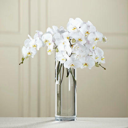 White Phalaenopsis Bouquet –  Jy Floristeria, Trenton NJ