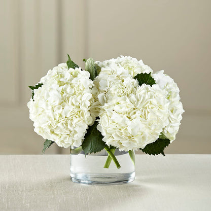 White Hydrangea Bouquet –  Jy Floristeria, Trenton NJ